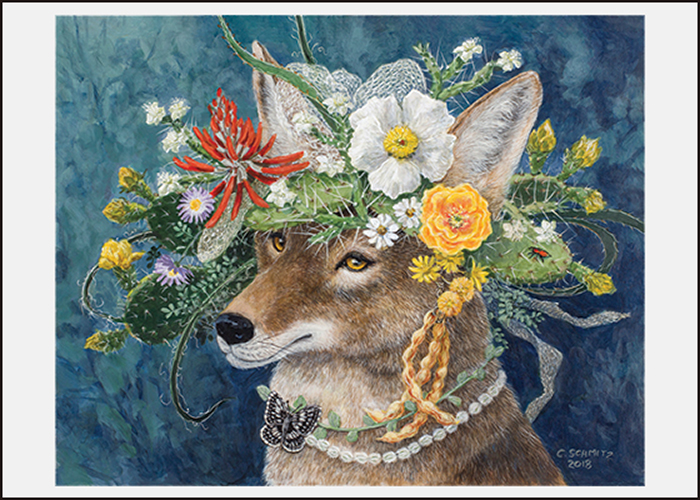 Coyote in the Garden